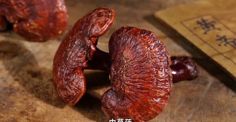 岐黄之术 华夏瑰宝