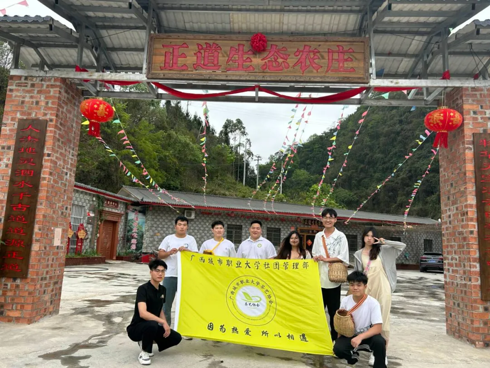 图片15