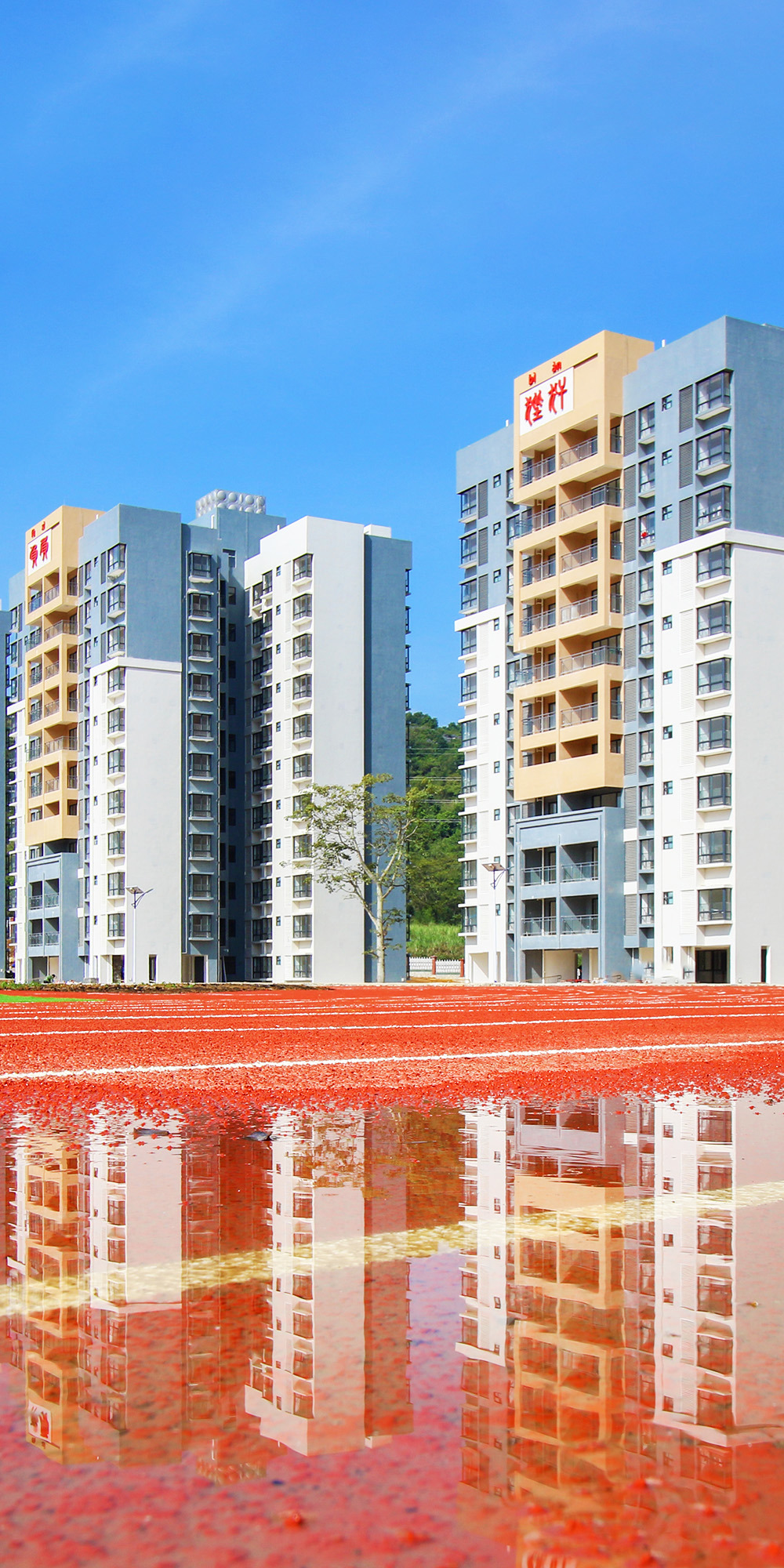 产业学院