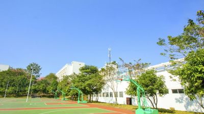 篮球场