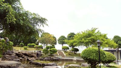 飞龙在天