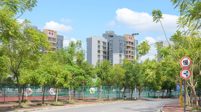 校园小路