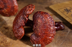 岐黄之术 华夏瑰宝