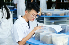 广西城市职业大学健康学院中药传统技能大赛初赛顺利举行