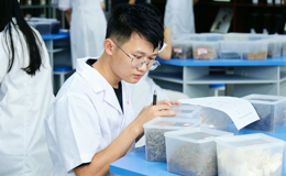 广西城市职业大学健康学院中药传统技能大赛初赛顺利举行