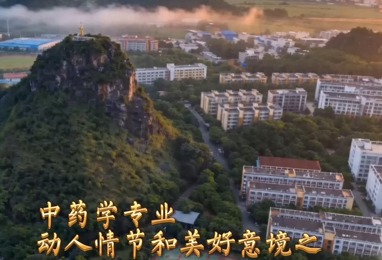 本草·守心