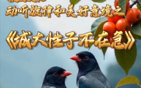 城大性子不在急