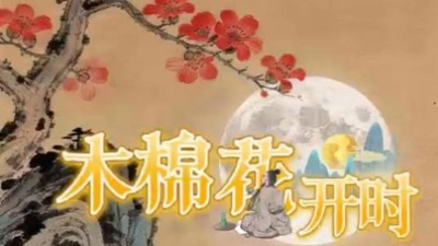 木棉花开时