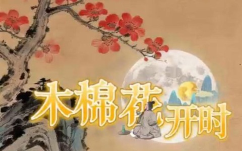 木棉花开时