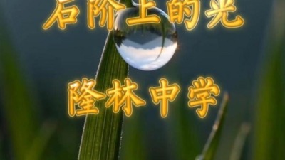《石接上的光》赠隆林中学