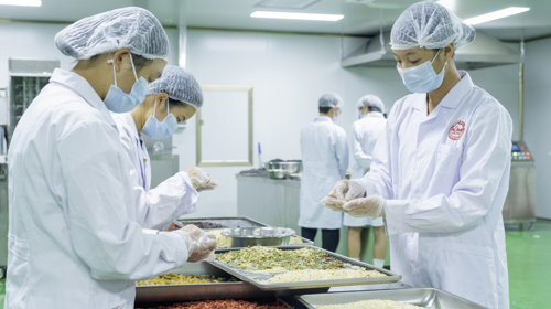 产教融合育品牌 科研赋能兴乡村  ——广西城市职业大学两大劳务品牌入选扶绥县首批县级劳务品牌认定