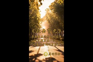 此去有光