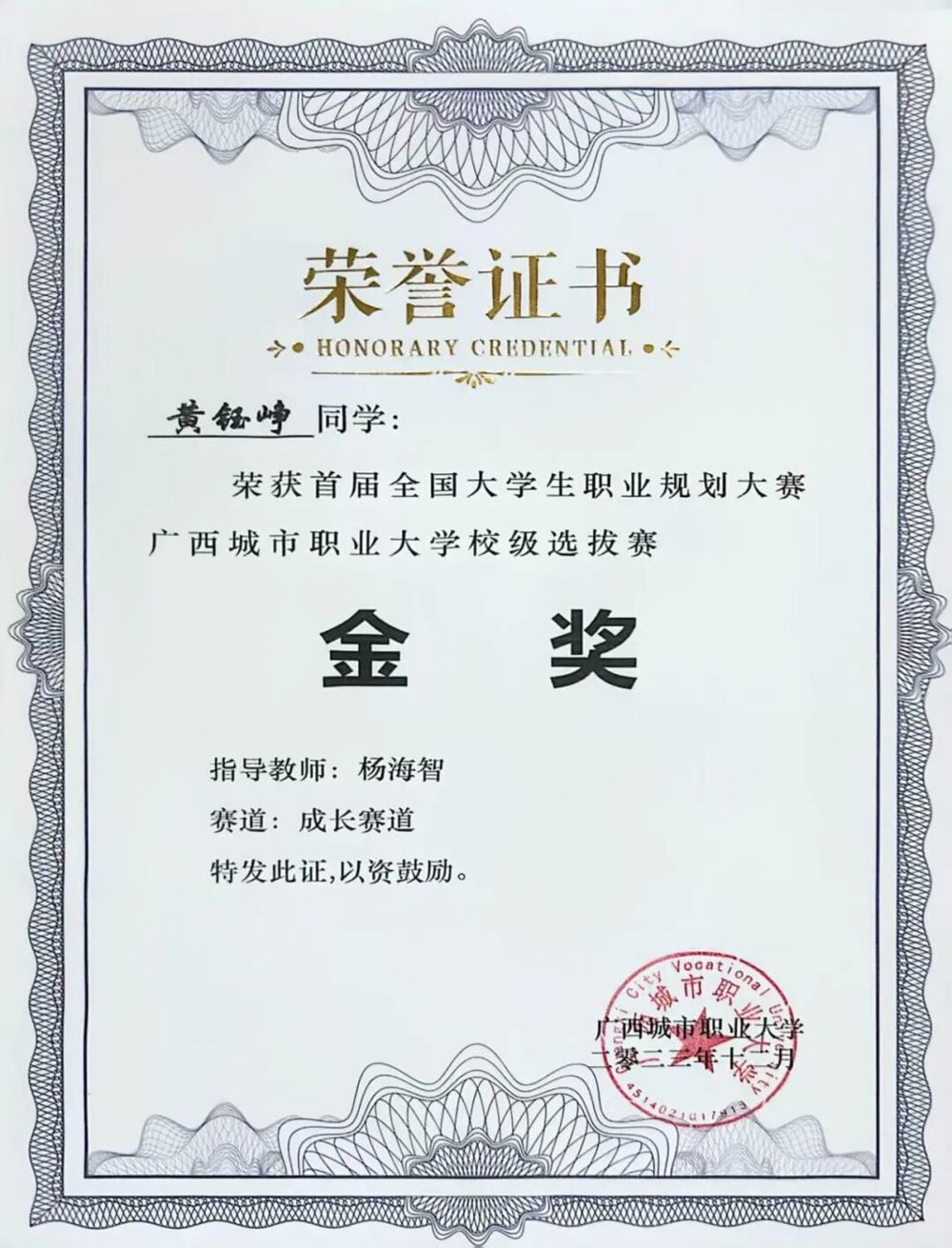 全国大学生职业规划大赛校级选拔赛金奖