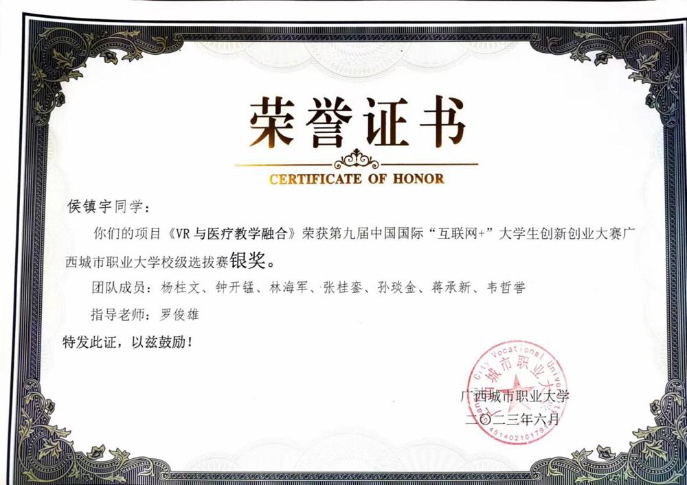 “互联网+”银奖