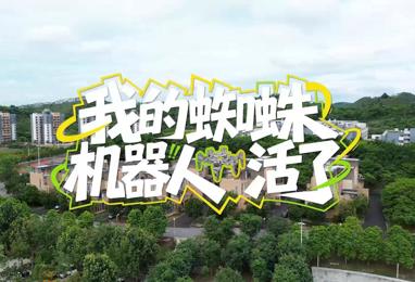 我的蜘蛛机器人活了