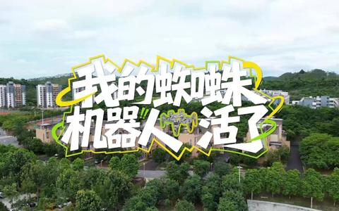 我的蜘蛛机器人活了