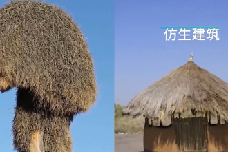 建筑设计 奇思妙想
